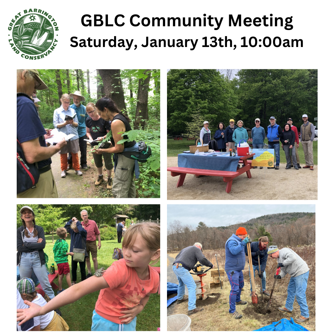 GBLC Community Meeting & Coffee Hour Saturday January 13 10am Register